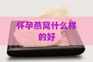 怀孕燕窝什么样的好