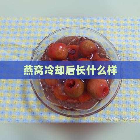 燕窝冷却后长什么样