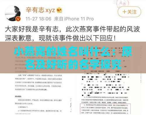 小燕窝的姓名叫什么：原名及好听的名字探究