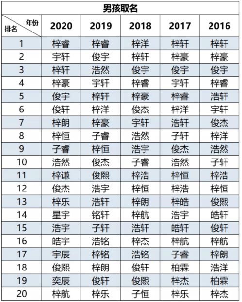 小燕窝的姓名叫什么：原名及好听的名字探究