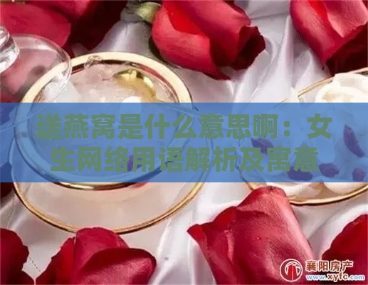 送燕窝是什么意思啊：女生网络用语解析及寓意表达方式