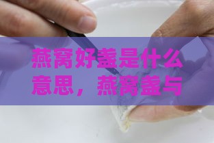 燕窝好盏是什么意思，燕窝盏与燕窝盏的区别，哪种燕盏更佳及功效解析