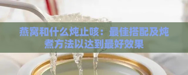 燕窝和什么炖止咳：更佳搭配及炖煮方法以达到更好效果