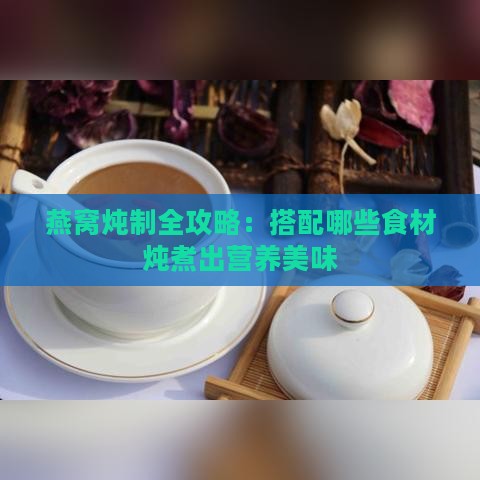 燕窝炖制全攻略：搭配哪些食材炖煮出营养美味