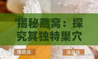 '揭秘燕窝：探究其独特巢穴的天然原材料构成'