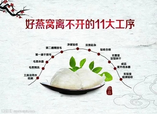 燕窝炖煮全攻略：不同食材搭配与炖煮技巧大揭秘