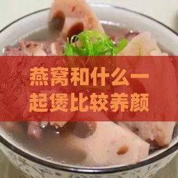 燕窝和什么一起煲比较养颜：搭配煲汤食材效果对比指南