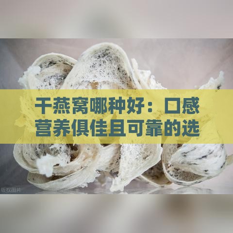 干燕窝哪种好：口感营养俱佳且可靠的选择推荐