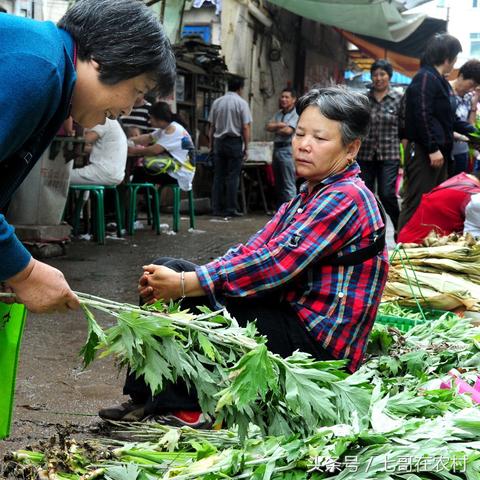 干燕窝哪种好：口感营养俱佳且可靠的选择推荐