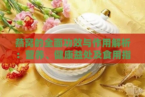 燕窝的全面功效与作用解析：营养、健康益处及食用指南