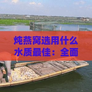 炖燕窝选用什么水质更佳：全面解析炖煮燕窝的水质选择与技巧