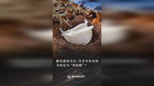 燕窝搭配指南：全方位解析燕窝与食材的更佳组合与食用技巧