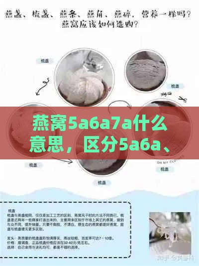 燕窝5a6a7a什么意思，区分5a6a、7a、6a7a等级差异解释