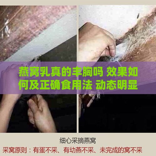 燕窝乳真的丰胸吗 效果如何及正确食用法 动态明显吗？