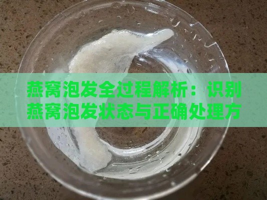 燕窝泡发全过程解析：识别燕窝泡发状态与正确处理方法