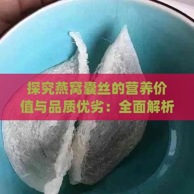 探究燕窝囊丝的营养价值与品质优劣：全面解析燕窝囊丝的好处与不足