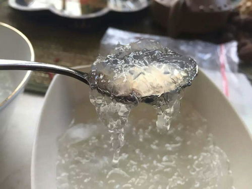 '探究即食免泡发燕窝的优缺点与食用体验'