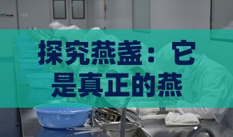 探究燕盏：它是真正的燕窝吗？