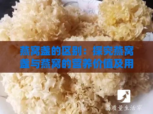 燕窝盏的区别：探究燕窝盏与燕窝的营养价值及用途差异