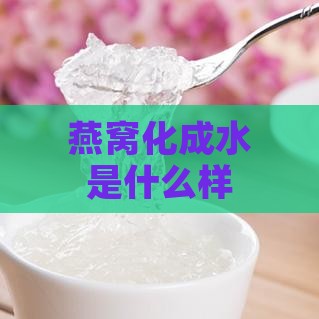 燕窝化成水是什么样