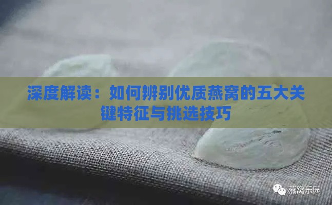 深度解读：如何辨别优质燕窝的五大关键特征与挑选技巧