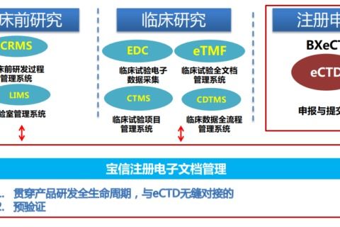 揭秘燕窝产业5S管理体系：提升品质与效率的五大关键步骤