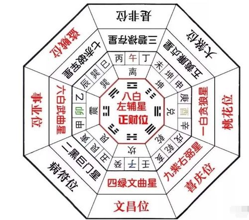 探究燕窝在中医五行理论中的属性与应用