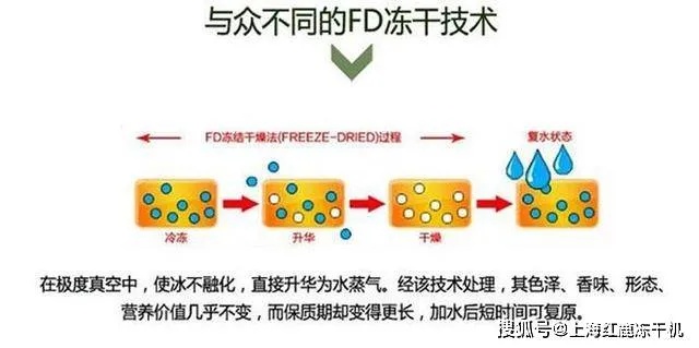 燕窝冻干技术解析：原理、优势、应用与选购指南