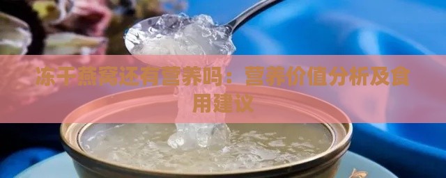 冻干燕窝还有营养吗：营养价值分析及食用建议