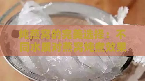 炖燕窝的完美选择：不同水质对燕窝炖煮效果的影响与推荐