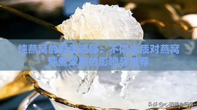 炖燕窝的完美选择：不同水质对燕窝炖煮效果的影响与推荐