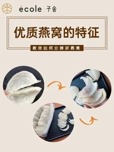 全面评测：龙牙盏燕窝品质、功效与挑选指南