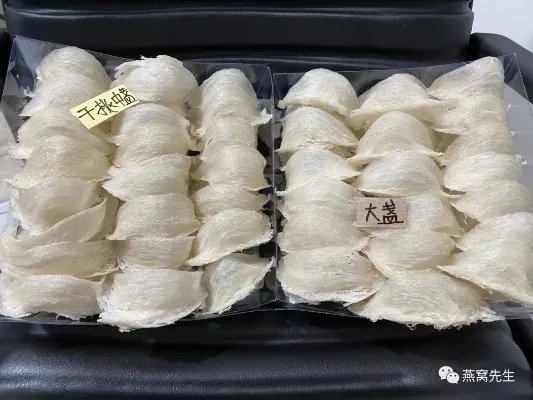 全面评测：龙牙盏燕窝品质、功效与挑选指南