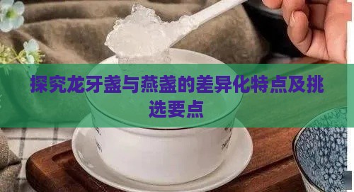 探究龙牙盏与燕盏的差异化特点及挑选要点