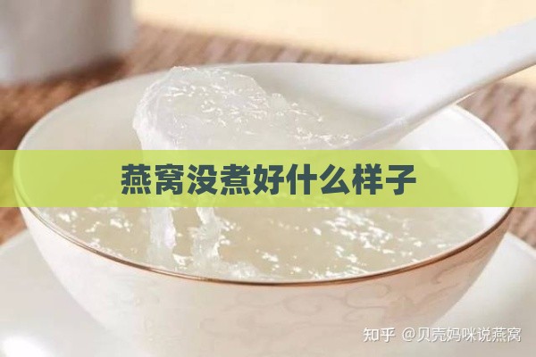 燕窝没煮好什么样子