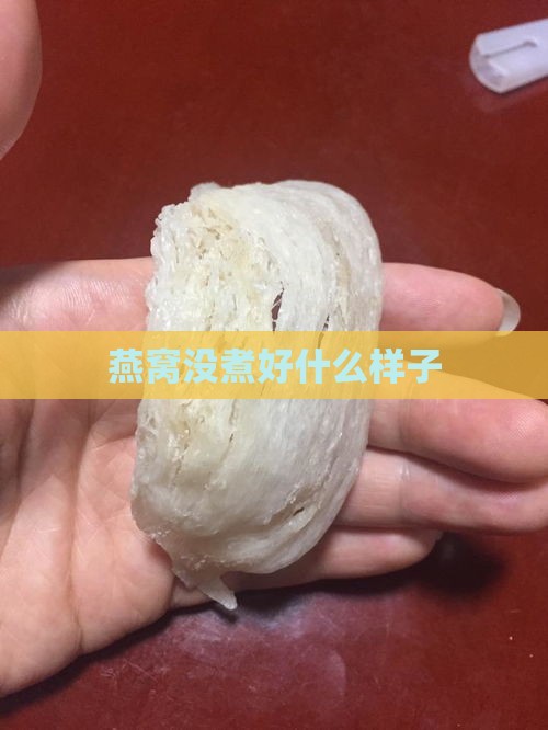 燕窝没煮好什么样子