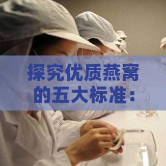 探究优质燕窝的五大标准：如何挑选高品质燕窝