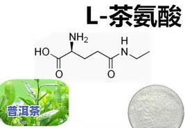 揭秘燕窝核心成分及其健康益处：全面解析燕窝中的关键营养素