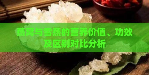 燕窝与雪燕的营养价值、功效及区别对比分析