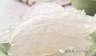 燕窝和雪燕的区别及营养成分对比与详细分析表