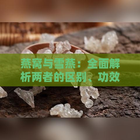 燕窝与雪燕：全面解析两者的区别、功效与食用方法