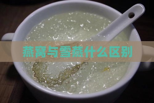 燕窝与雪燕什么区别