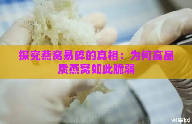 探究燕窝易碎的真相：为何高品质燕窝如此脆弱