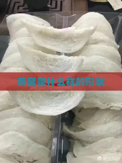 燕窝是什么样的形状