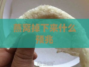 燕窝掉下来什么预兆