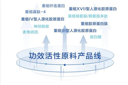 揭秘燕窝：成分真相与营养价值探究