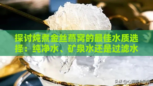 探讨炖煮金丝燕窝的更佳水质选择：纯净水、矿泉水还是过滤水？