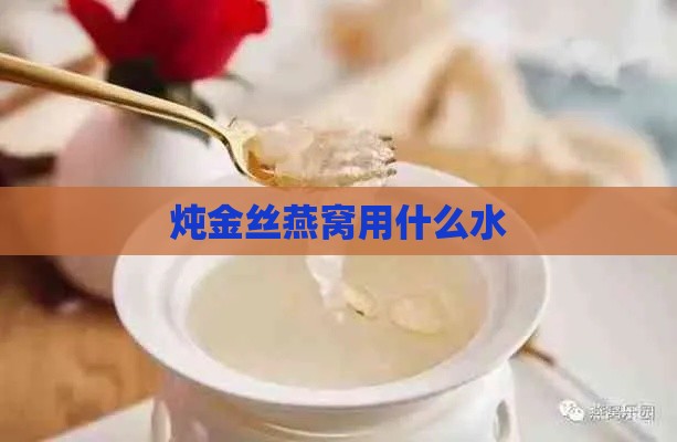 炖金丝燕窝用什么水