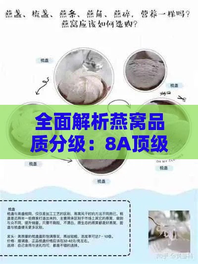 全面解析燕窝品质分级：8A顶级燕窝详解与选购指南