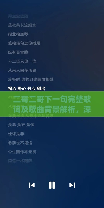 二哥二哥下一句完整歌词及歌曲背景解析，深入了解歌曲背后的故事与情感表达